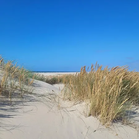 아파트 Strandmuschel *